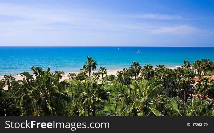 Palm Trees On The Tropical Beach