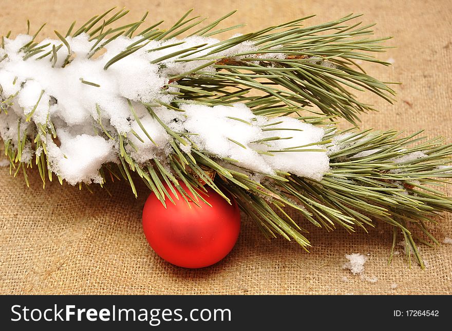 Red christmas ornament in snowy pine tree