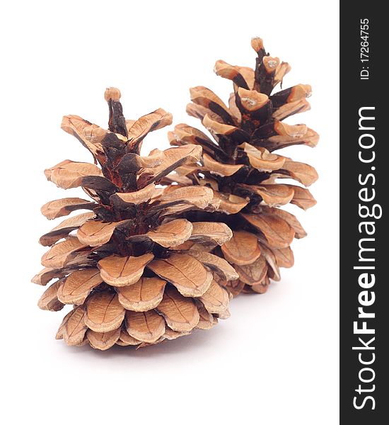 Two spruce cones on a white background