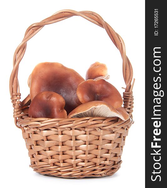 Wicker Wicker basket made of twigs, filled with mushrooms, on white background. Wicker Wicker basket made of twigs, filled with mushrooms, on white background.