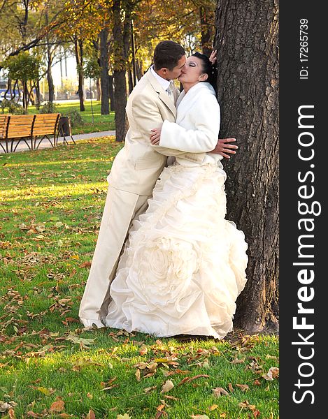 Groom is kissing his bride near the tree in the park. Groom is kissing his bride near the tree in the park