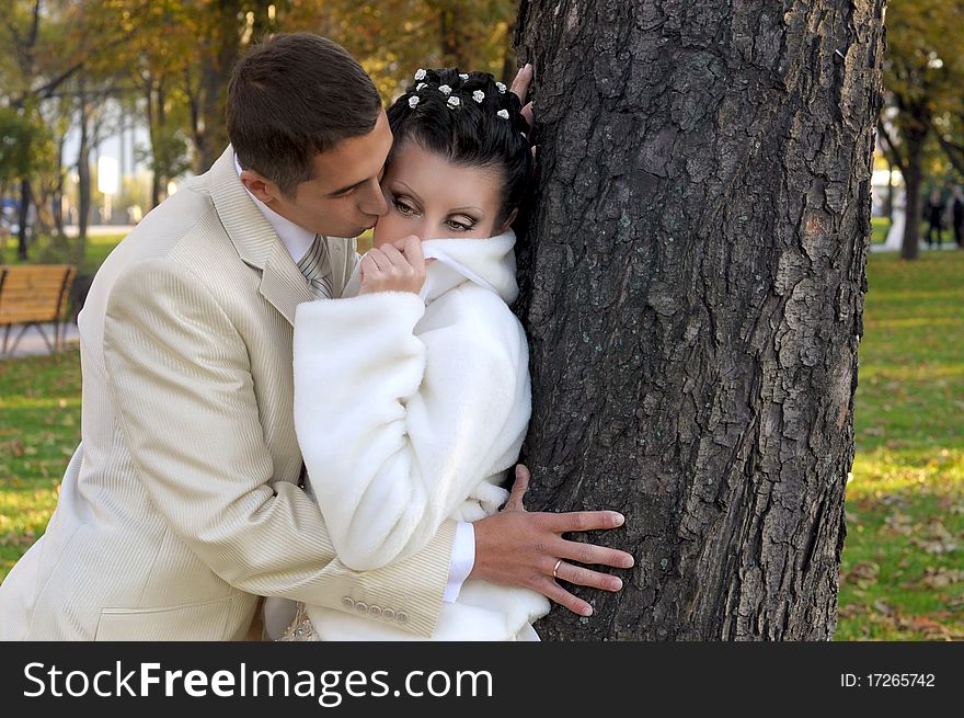 Groom is kissing his bride near the tree in the park. Groom is kissing his bride near the tree in the park