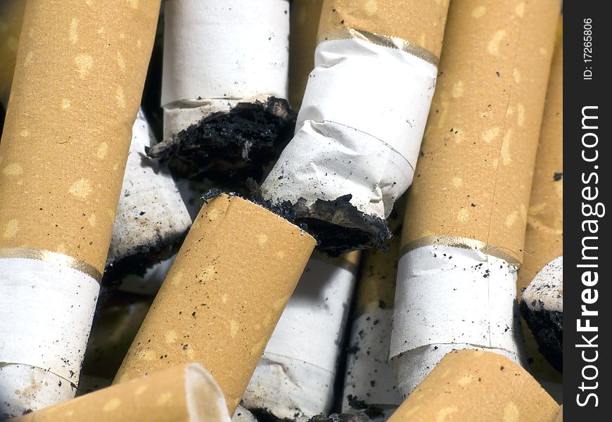 Closeup of several cigarette butts