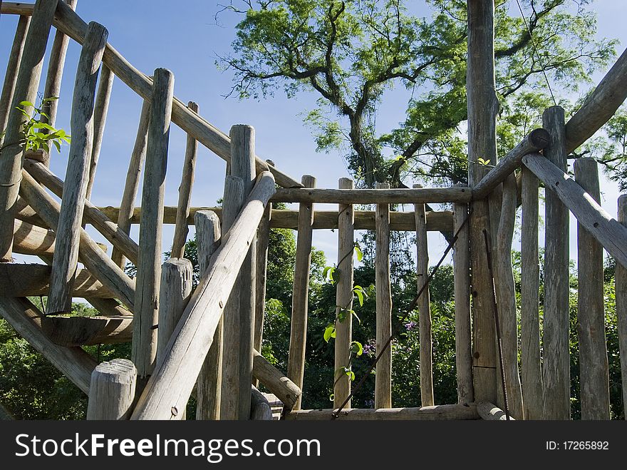 Wooden stairs of birdwatching tower on brazilian atlantic rainforest.