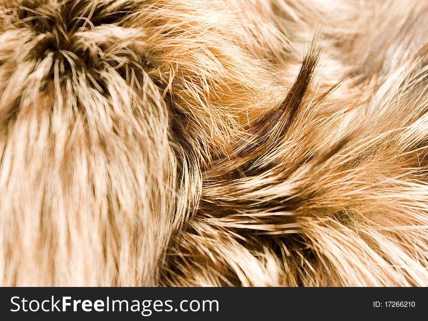 A close up shot of a long haired fur, suitable for overlay or backgrounds. A close up shot of a long haired fur, suitable for overlay or backgrounds