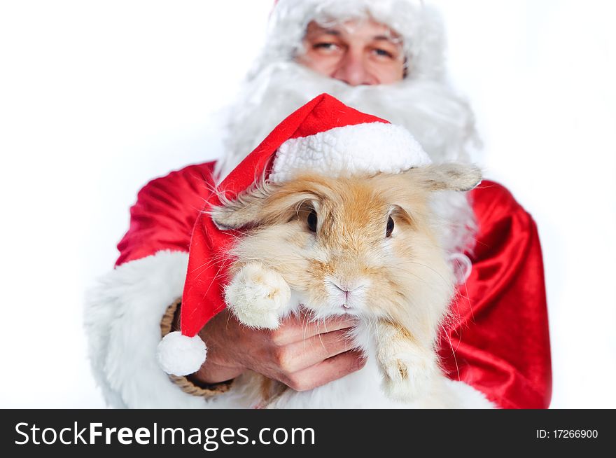 Photo of happy Santa Claus holding a cute rabbit in a santa hat. Focus a rabbit.