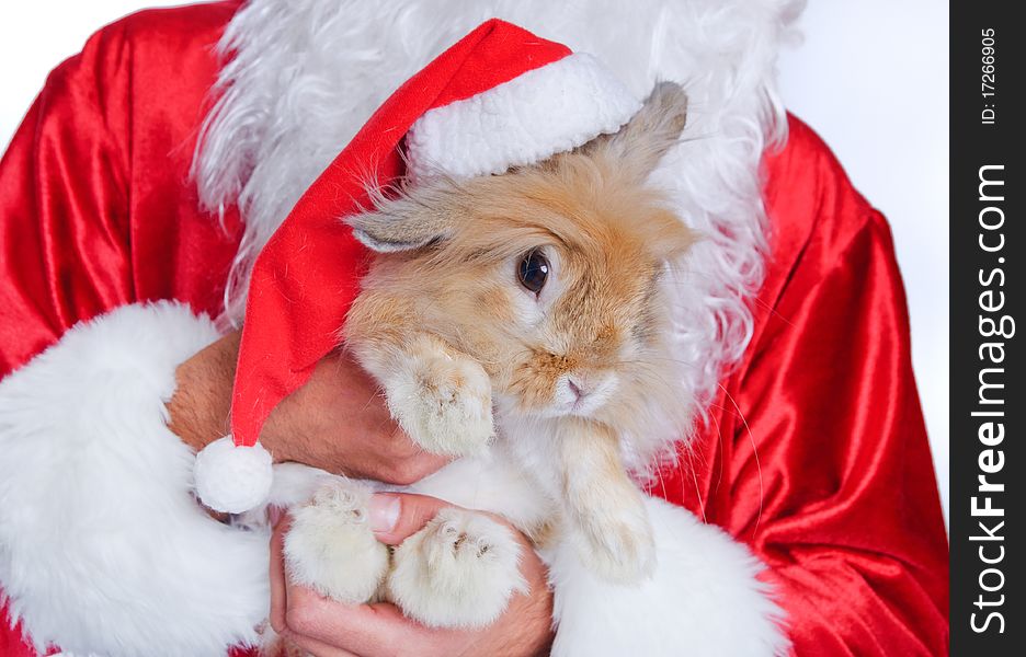 Photo a cute rabbit in a santa hat. Photo a cute rabbit in a santa hat