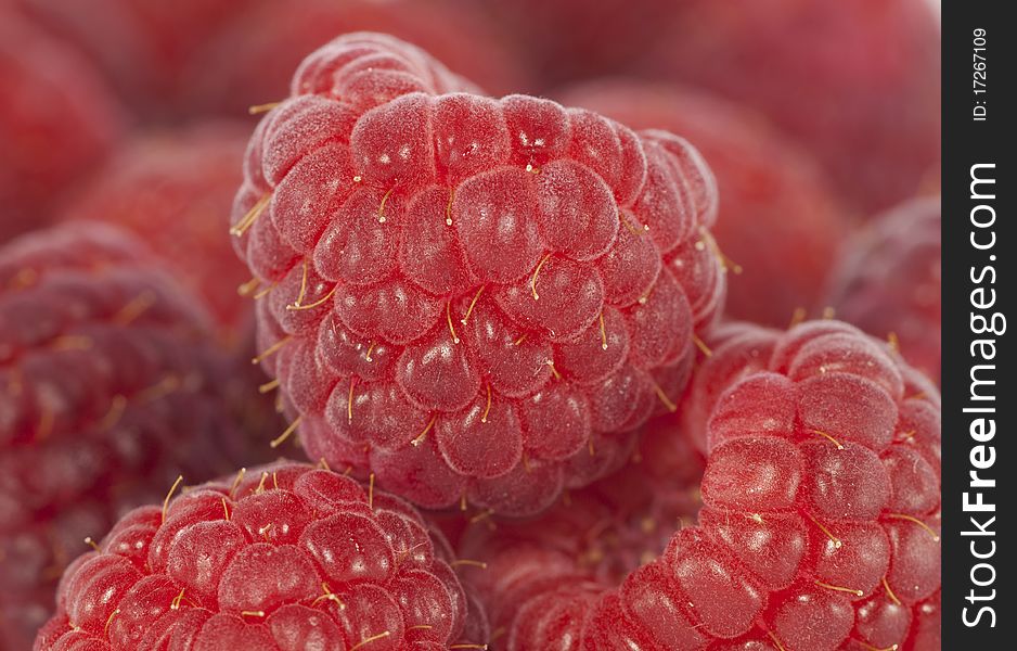 Picture of fresh raspberries - close up. Picture of fresh raspberries - close up.