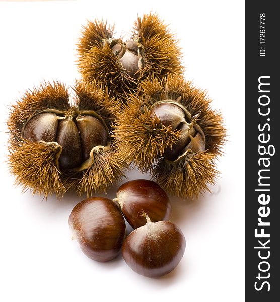 3 Chestnuts With 3 Husks