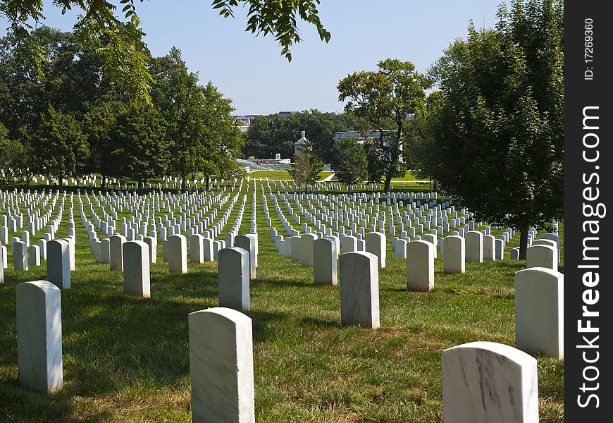 Graves in the Cemetery