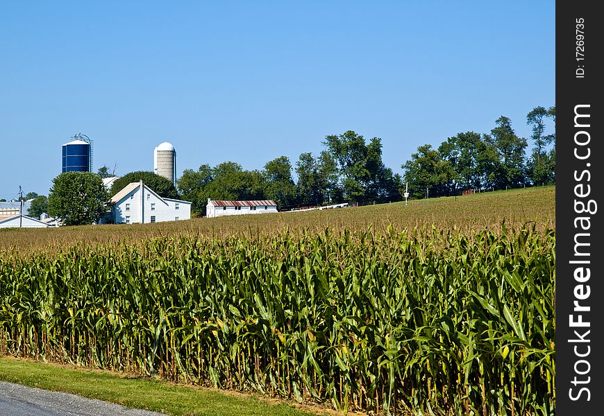 Amish Farm, Lancaster USA