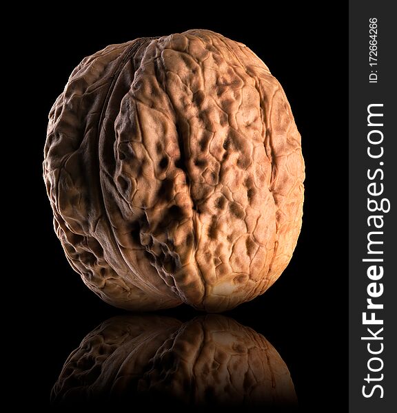 Macro photo of whole walnut with reflection isolated on a black background