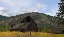 Old Barn In Golden Field Stock Images Old Barn In Golden Field Stock Images