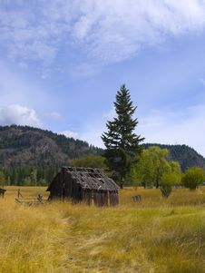 Old Barn In Golden Field Stock Photo