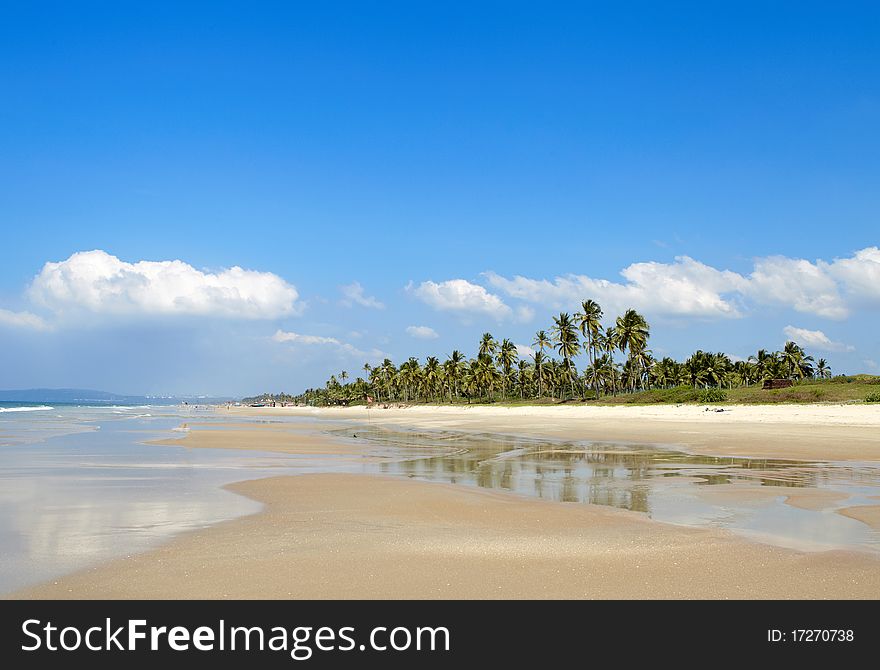 Tropical beach in the state of goa in india