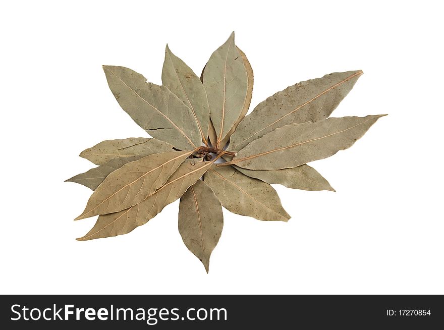 A lot of bay leaves on a white background. A lot of bay leaves on a white background