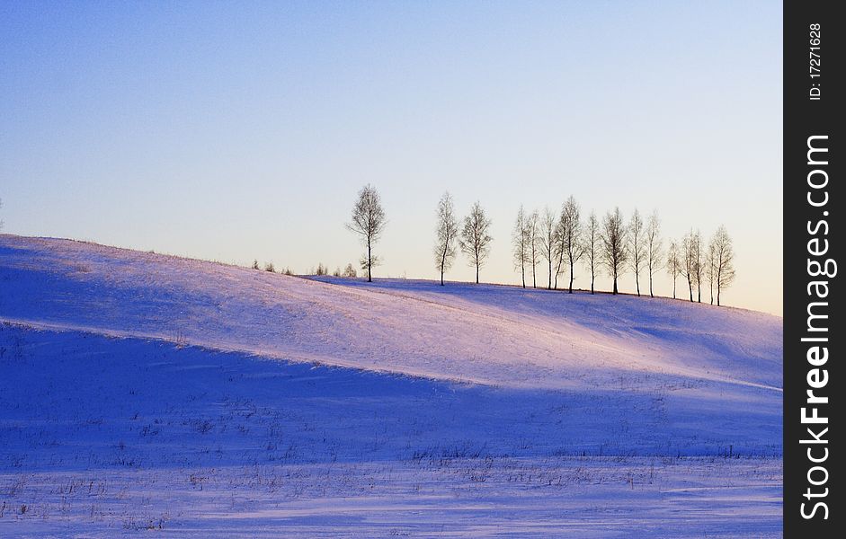 Winter pink landscape with trees on hill