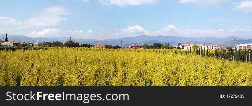 Beautiful Panorama of Tuscany in Pistoia. Beautiful Panorama of Tuscany in Pistoia