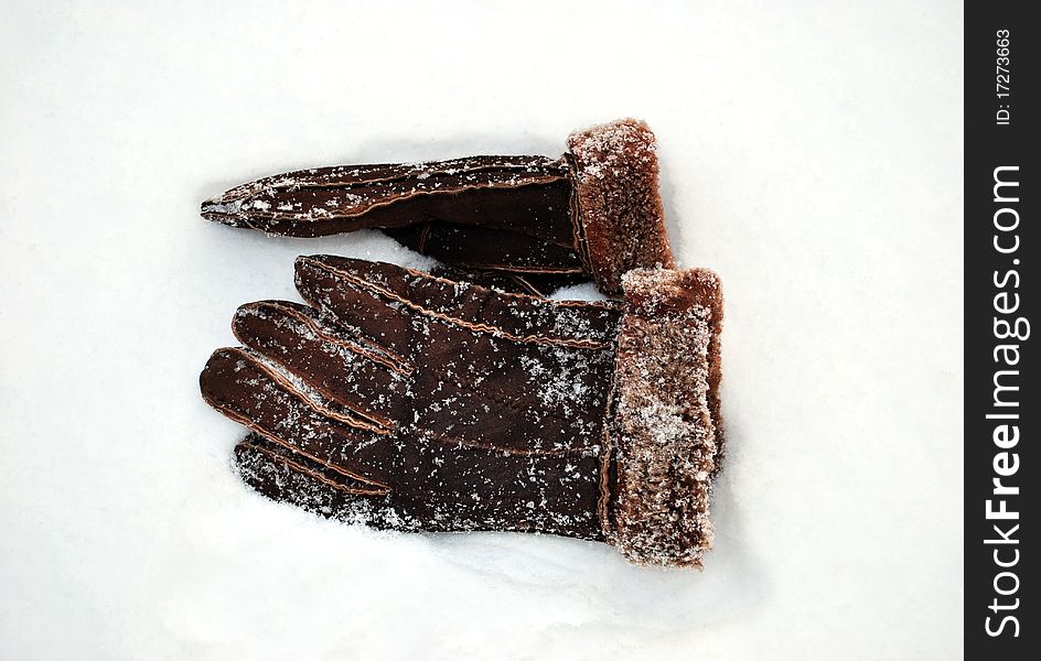 Gloves On A Snow