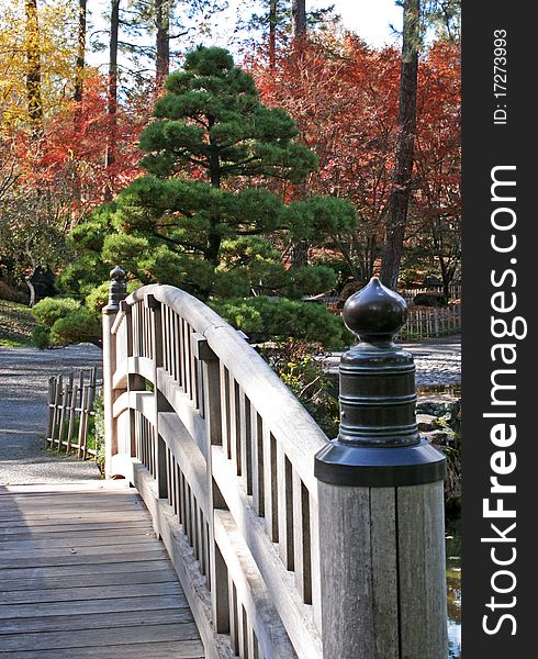 Arched footbridge leading to sculpted pine tree and red maples in a Japanese garden. Arched footbridge leading to sculpted pine tree and red maples in a Japanese garden