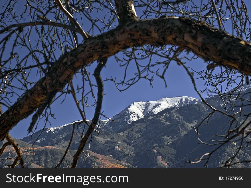 Early autumn in the mountain. Early autumn in the mountain