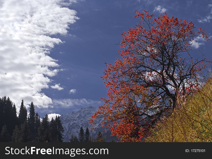 Early autumn in the mountain. Early autumn in the mountain