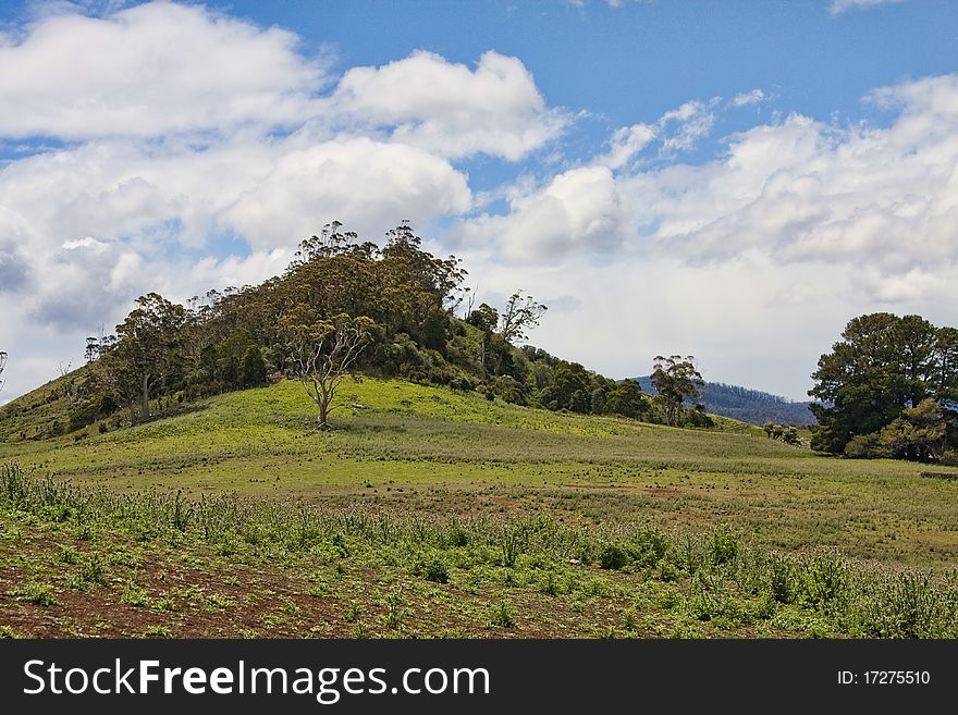 Scenic Tasmanian farmland in southern Tasmania.