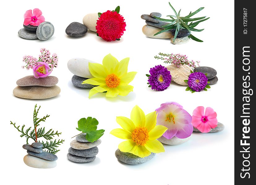 Set flowers and stones, isolated on white background.