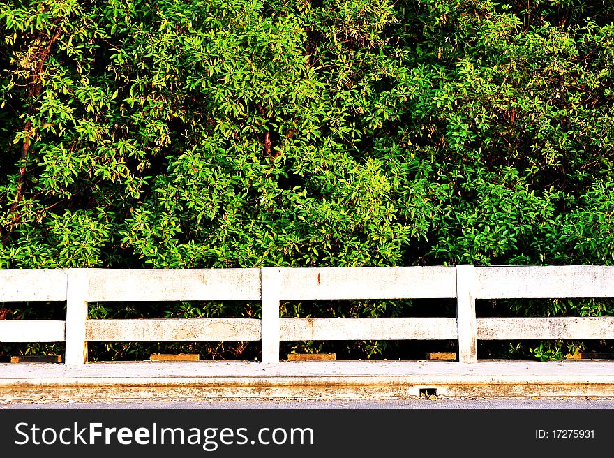 Mangrove forest and wild seagull in nature at Bang Pu beach at sun set