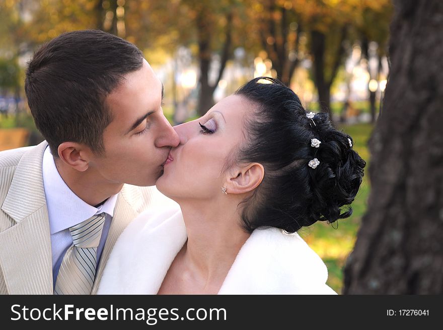 Groom is kissing his bride near the tree in the park. Groom is kissing his bride near the tree in the park