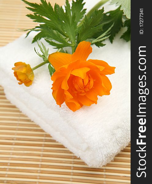 Subjects for care of a body, flowers on white towel.