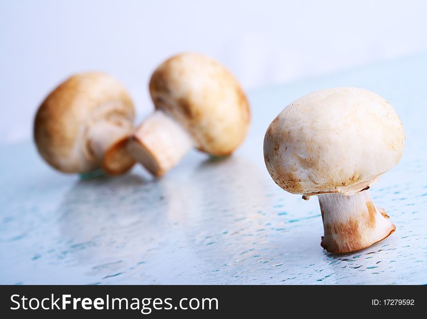 Champignon, cooking. On blue background. Champignon, cooking. On blue background