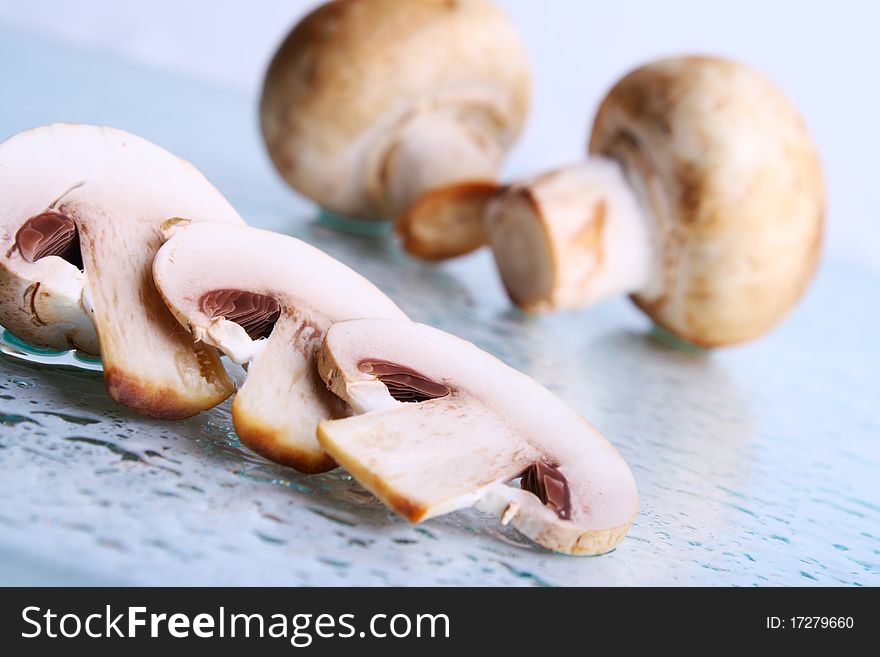 Champignon, fungus, cooking. on blue background. Champignon, fungus, cooking. on blue background