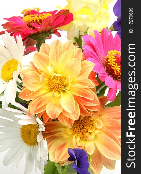 Fine flowers on a white background