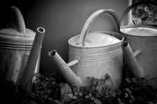 Watering Cans Royalty Free Stock Photography Watering Cans Royalty Free Stock Photography