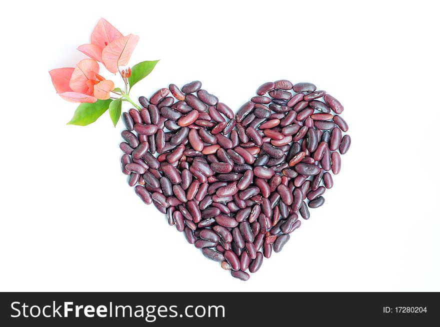 Heart-shaped appearance made of beans with pink flowers isolated on white background. Heart-shaped appearance made of beans with pink flowers isolated on white background