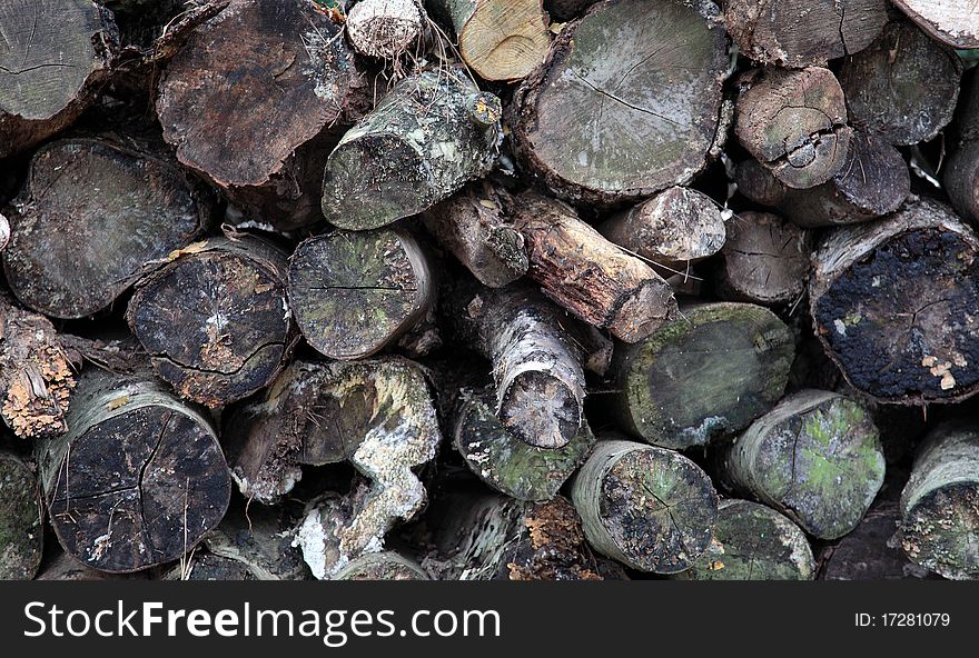 Wood pile of logs