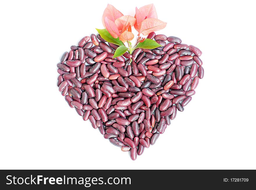 Heart-shaped appearance made of beans with pink flowers isolated on white background. Heart-shaped appearance made of beans with pink flowers isolated on white background