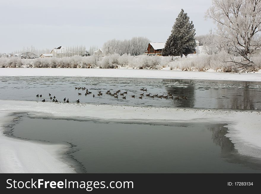 Winter morning on the Snake River near Blackfoot Idaho