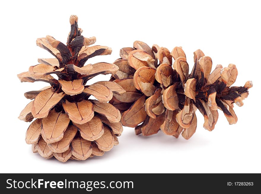 Two spruce cones on a white background