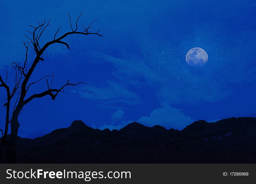 Blue night landscape for background