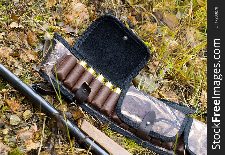 Photo of a fowling piece and cartridges. Photo of a fowling piece and cartridges