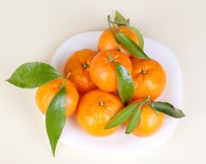 Mandarins On The Plate Stock Photography