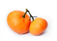Tangerine Royalty Free Stock Image Tangerine Royalty Free Stock Image