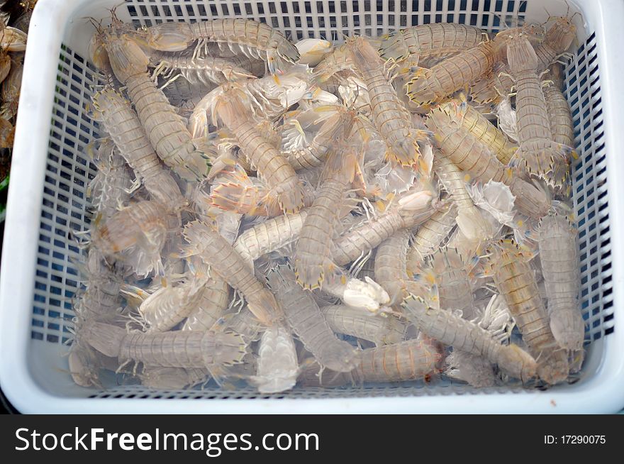 Fresh Shrimp sold in fish market，which taken in china