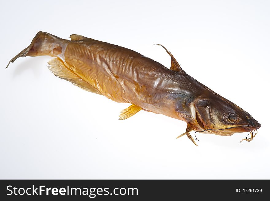 Sheat-fish isolated on the white