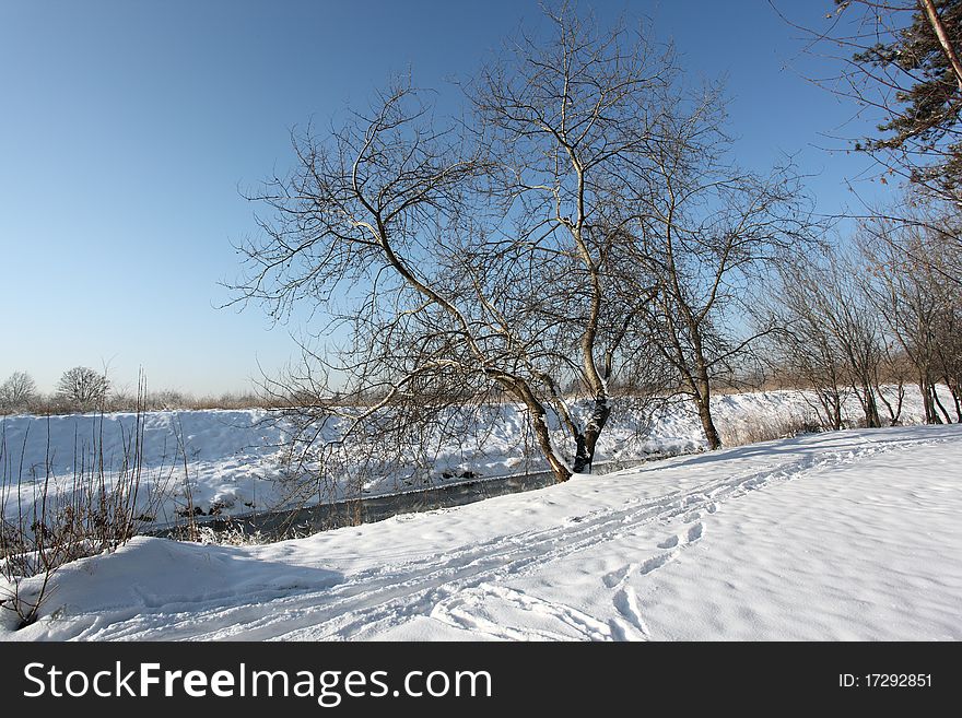 Snowy landscape municipal park in Wroclaw, Poland. Snowy landscape municipal park in Wroclaw, Poland