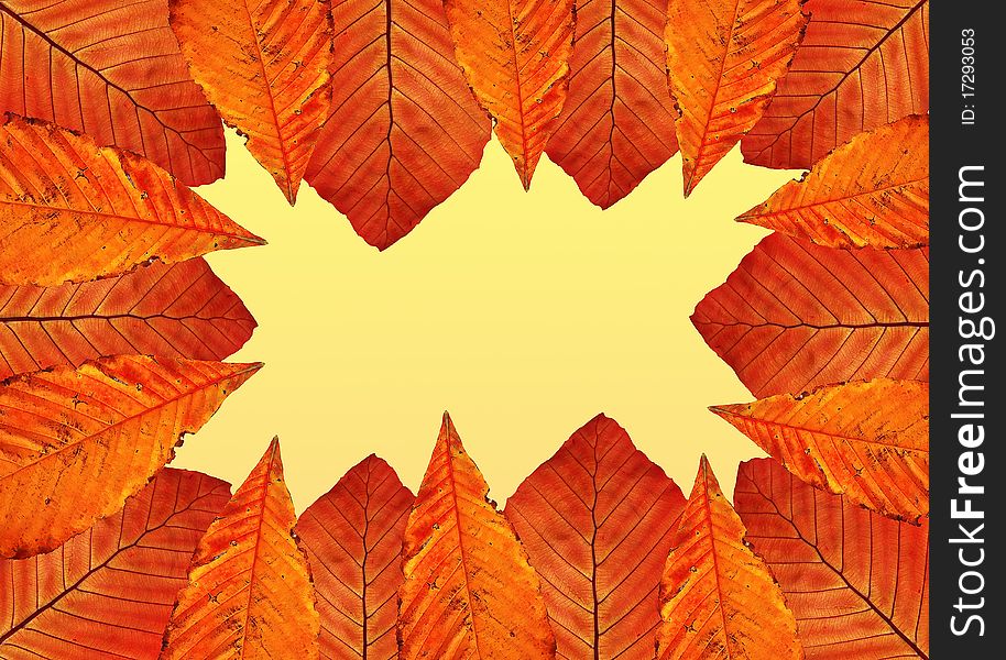 Colorful frame of autumn leaves. Colorful frame of autumn leaves.