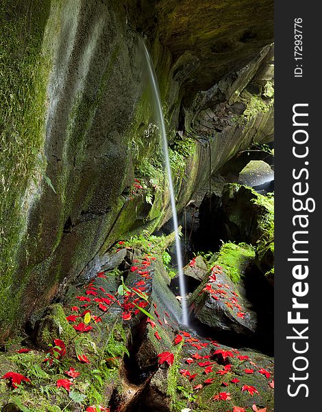 Beautiful maple leaves of Phu Kradueng on waterfall. Beautiful maple leaves of Phu Kradueng on waterfall