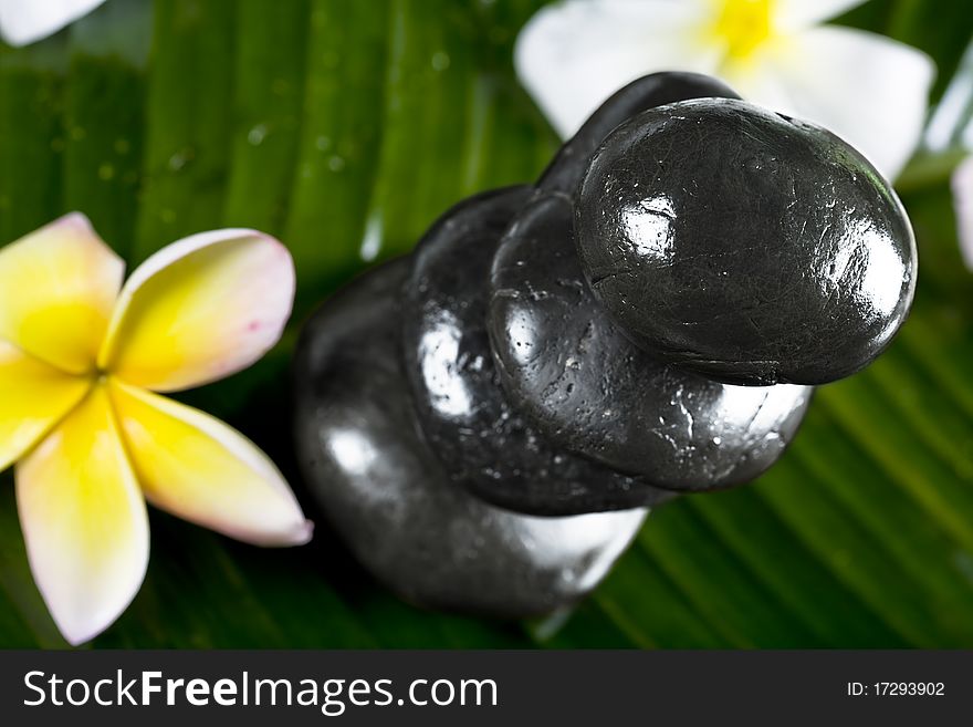 Close up view of gray stones and flower on color back. Close up view of gray stones and flower on color back